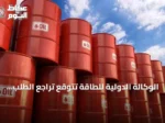 الوكالة الدولية للطاقة تتوقع تراجع الطلب العالمي على النفط في 2026 لأول مرة منذ 2020