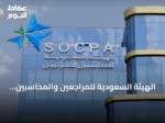 الهيئة السعودية للمراجعين والمحاسبين تُحيل محاسبًا سابقًا ومنشأتين غير مرخصتين إلى النيابة
