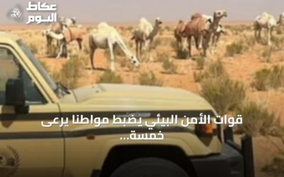 قوات الأمن البيئي يضبط مواطنًا يرعى خمسة عشر متناً من الإبل في محمية الإمام تركي بن عبدالله