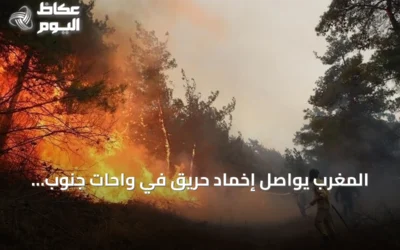 المغرب يواصل إخماد حريق في واحات جنوب شرقي البلاد