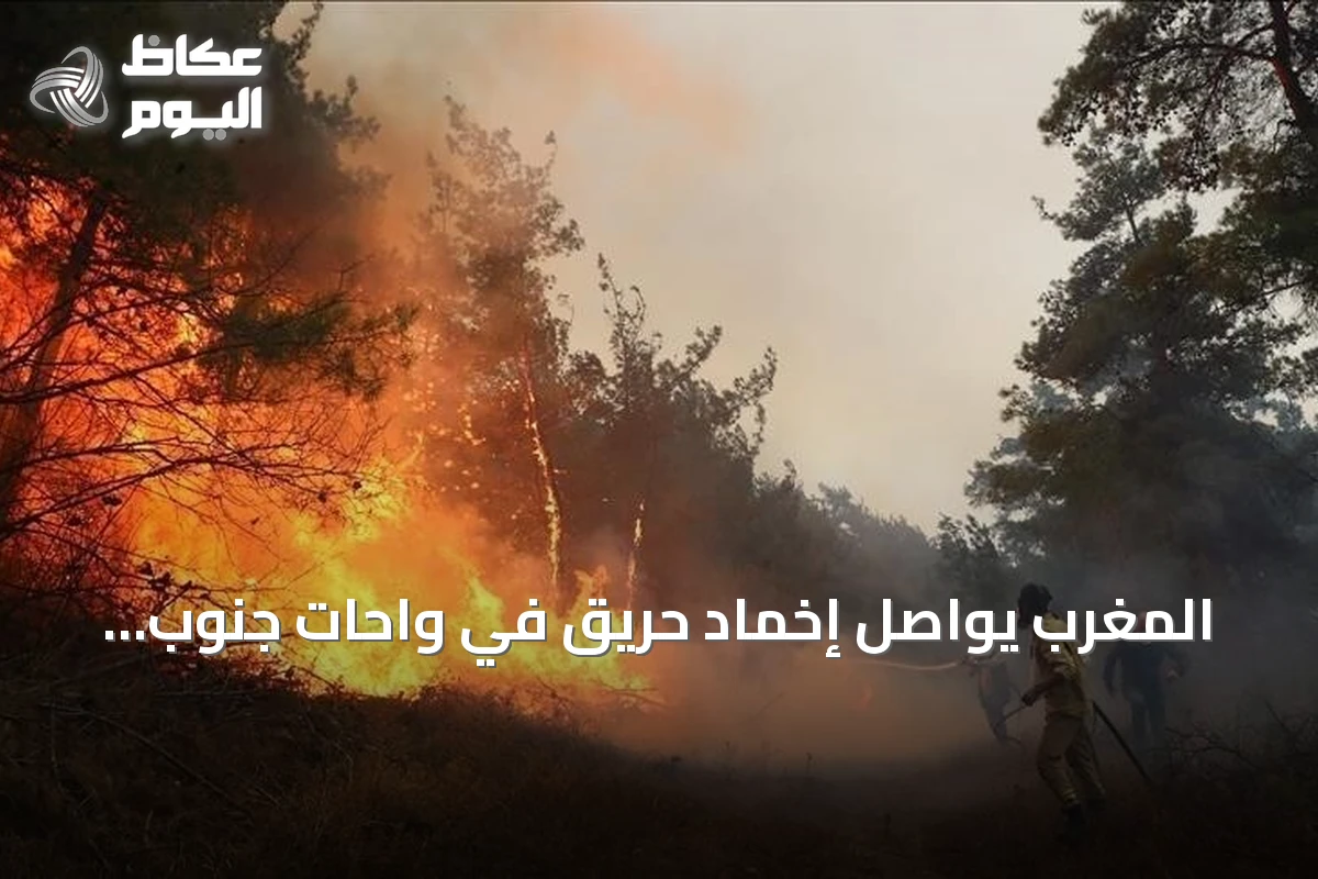 المغرب يواصل إخماد حريق في واحات جنوب شرقي البلاد