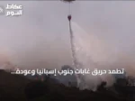 تطَمُّد حريق غابات جنوب إسبانيا وعودة النازحين إلى ديارهم