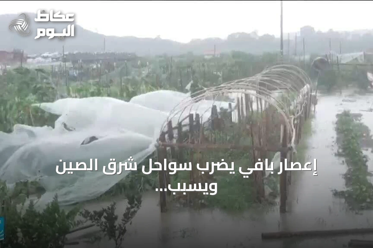 إعصار بافي يضرب سواحل شرق الصين ويسبّب وفيات في الفلبين وتايوان