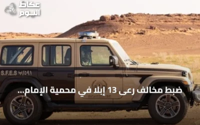 ضبط مخالف رعى 13 إبلاً في محمية الإمام تركي بن Abdullah