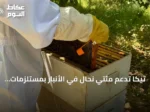 تيكا تدعم مئتي نحّال في الأنبار بمستلزمات تربية النحل