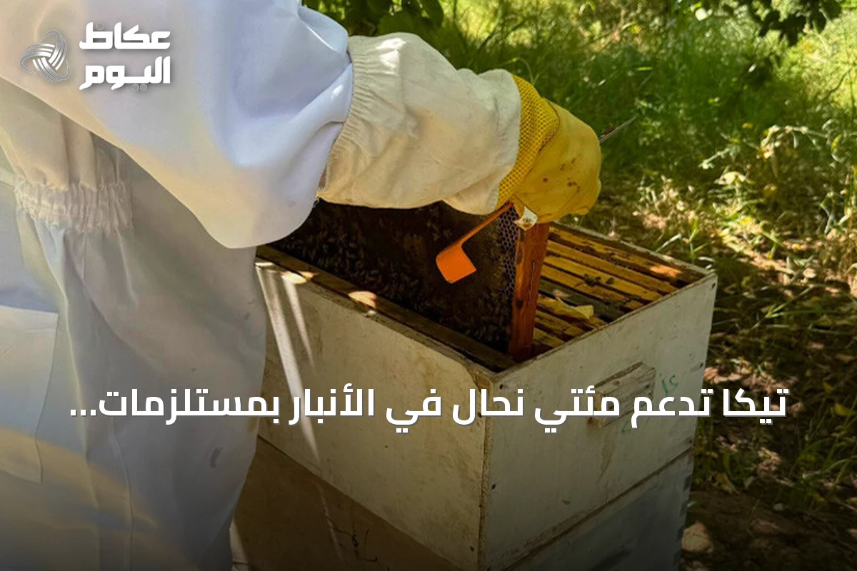 تيكا تدعم مئتي نحّال في الأنبار بمستلزمات تربية النحل