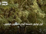 أول توثيق لتسعة أنواع نادرة من الطيور المهاجرة داخل محمية الملك عبدالعزيز الملكية