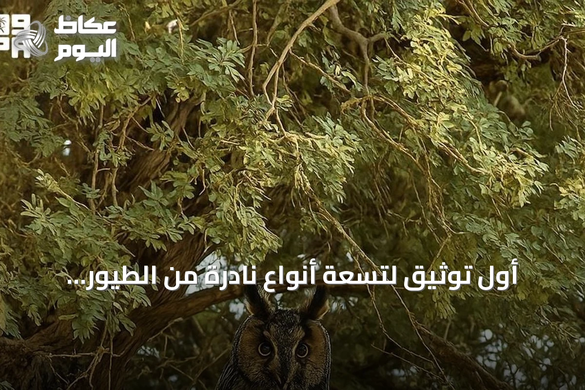 أول توثيق لتسعة أنواع نادرة من الطيور المهاجرة داخل محمية الملك عبدالعزيز الملكية