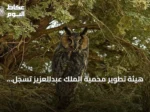 هيئة تطوير محمية الملك عبدالعزيز تسجل تسعة أنواع نادرة من الطيور المهاجرة لأول مرة