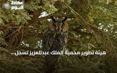 هيئة تطوير محمية الملك عبدالعزيز تسجل تسعة أنواع نادرة من الطيور المهاجرة لأول مرة