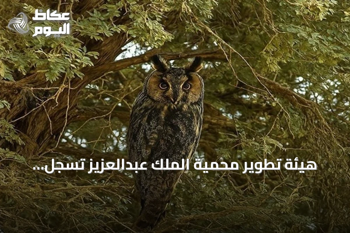 هيئة تطوير محمية الملك عبدالعزيز تسجل تسعة أنواع نادرة من الطيور المهاجرة لأول مرة