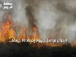 الجزائر تواصل جهود إخماد 26 حريقًا مشتعلًا في 15 ولاية أثناء موجة حر شديدة