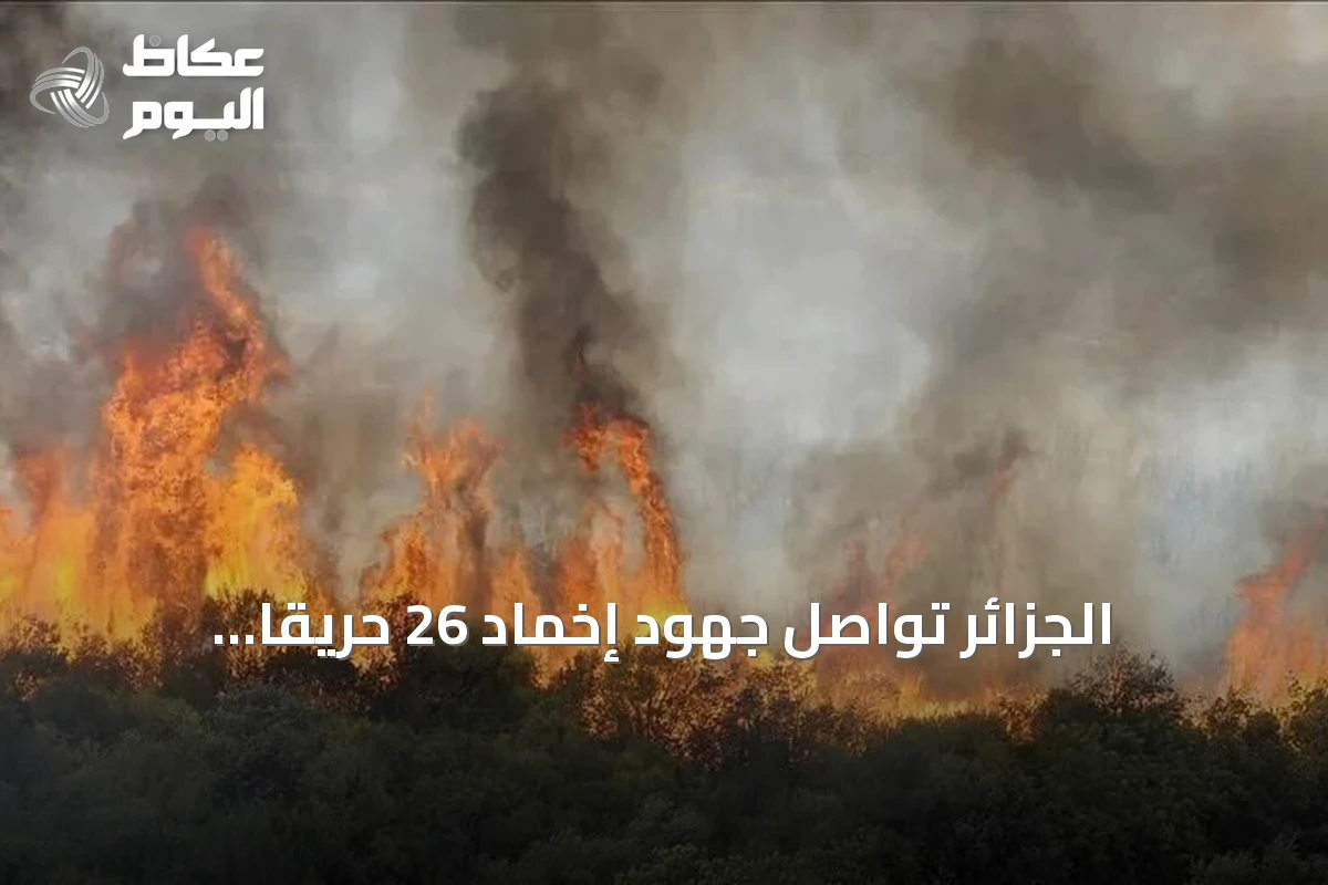 الجزائر تواصل جهود إخماد 26 حريقًا مشتعلًا في 15 ولاية أثناء موجة حر شديدة