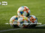 وفاة الحكم الهولندي روب ديبرينك بعد استبعاده من مونديال 2026