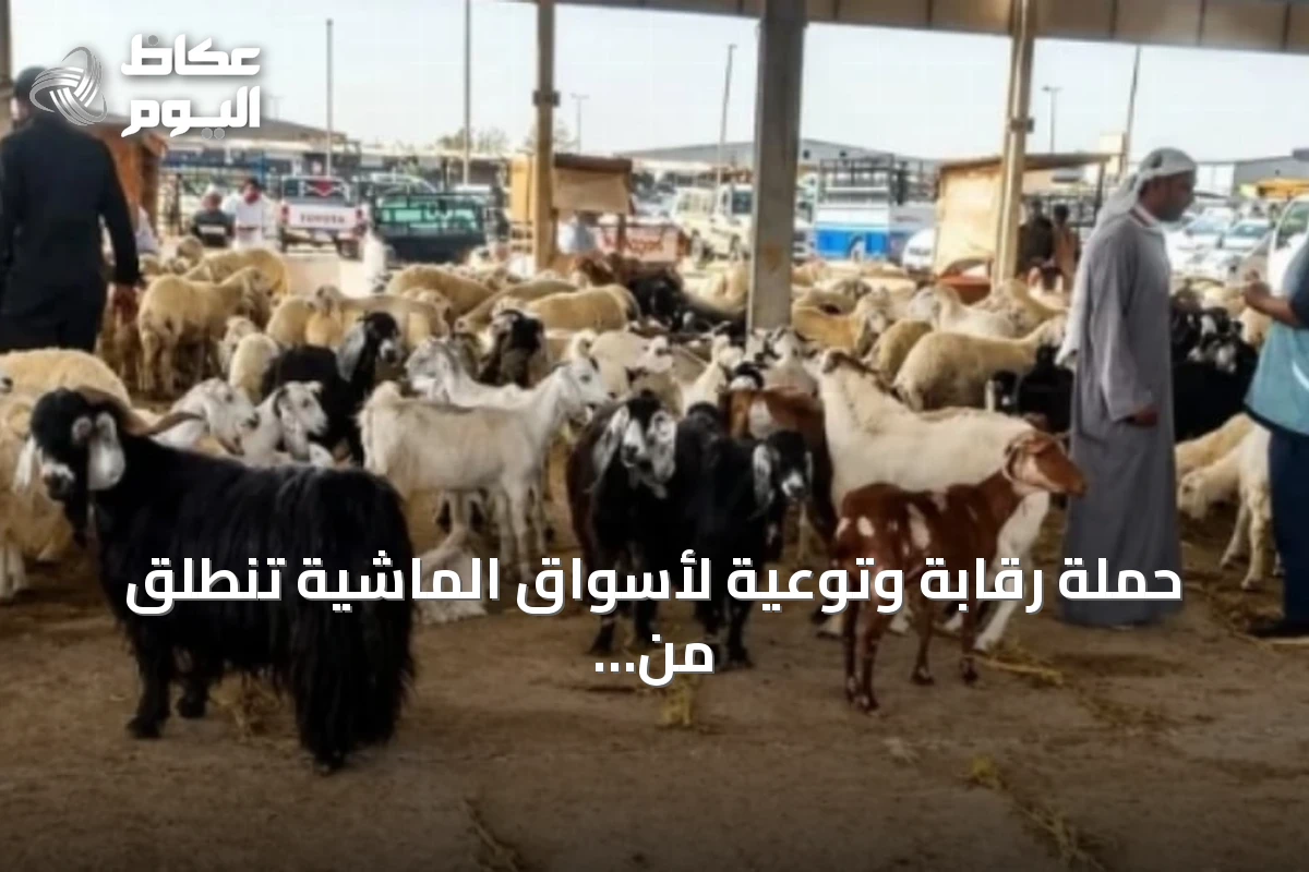 حملة رقابة وتوعية لأسواق الماشية تنطلق من فرع البيئة بالمدينة المنورة