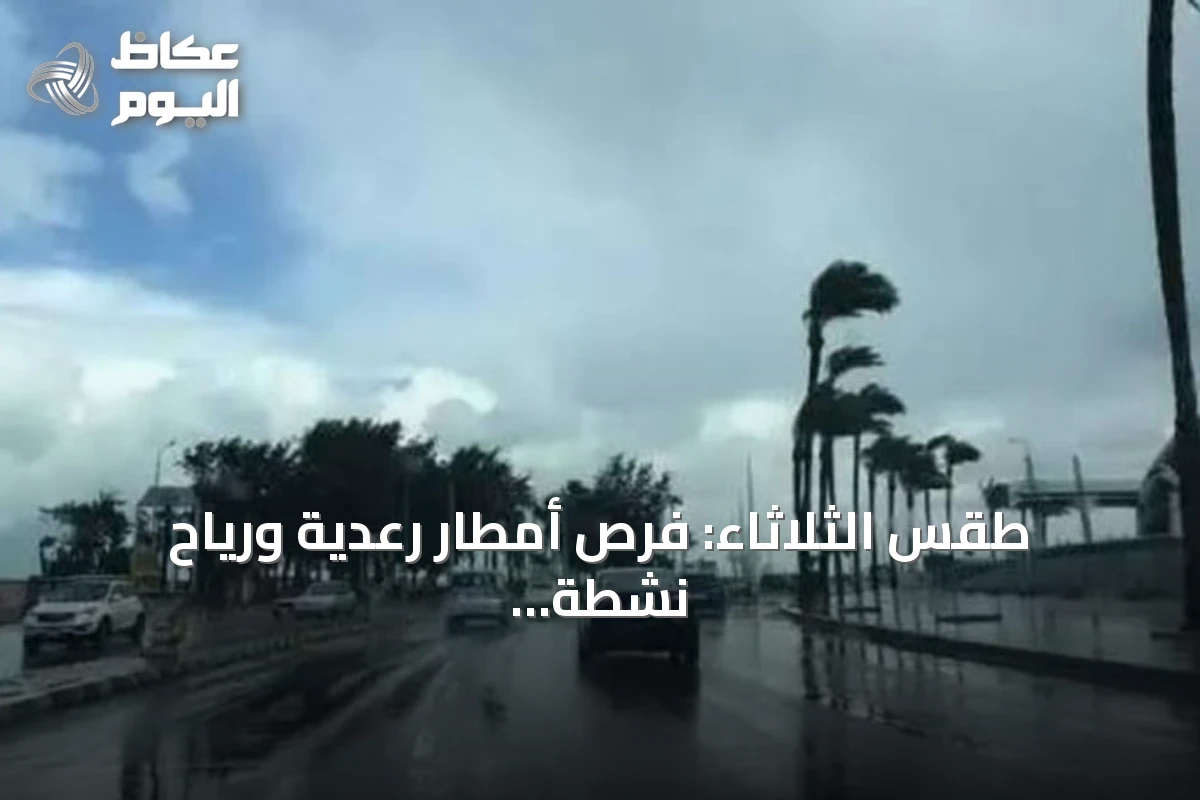 طقس الثلاثاء: فرص أمطار رعدية ورياح نشطة وارتفاع حرارة في عدة مناطق