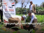 تركيا تزرع 1400 شتلة بن في اليمن إحياءً لذكرى شهداء المحاولة الانقلابية