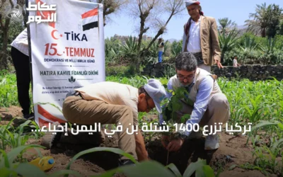 تركيا تزرع 1400 شتلة بن في اليمن إحياءً لذكرى شهداء المحاولة الانقلابية