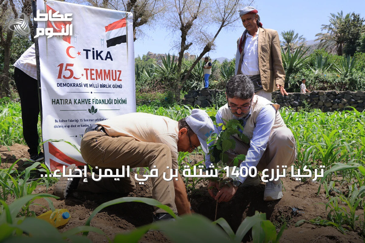 تركيا تزرع 1400 شتلة بن في اليمن إحياءً لذكرى شهداء المحاولة الانقلابية