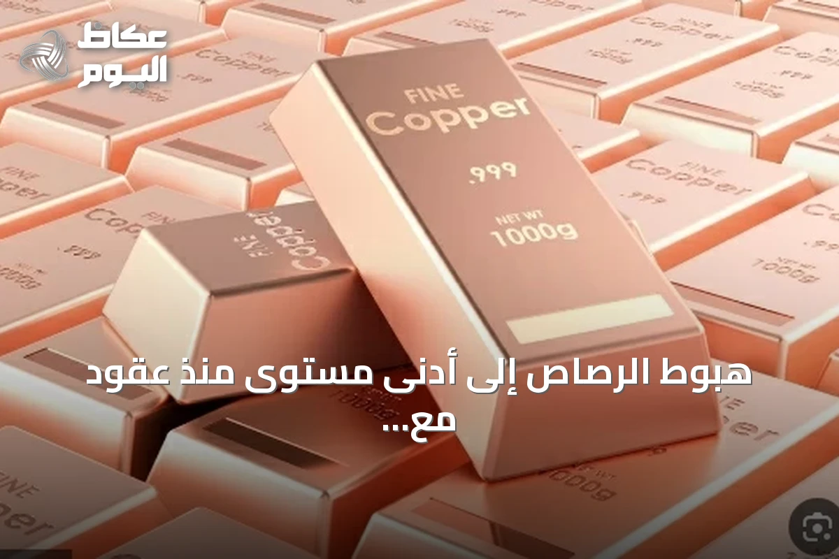 هبوط الرصاص إلى أدنى مستوى منذ عقود مع صعود النحاس بدعم طلب الصين