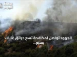 الجهود تواصل لمكافحة تسع حرائق غابات بسبع ولايات جزائرية