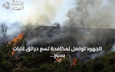 الجهود تواصل لمكافحة تسع حرائق غابات بسبع ولايات جزائرية