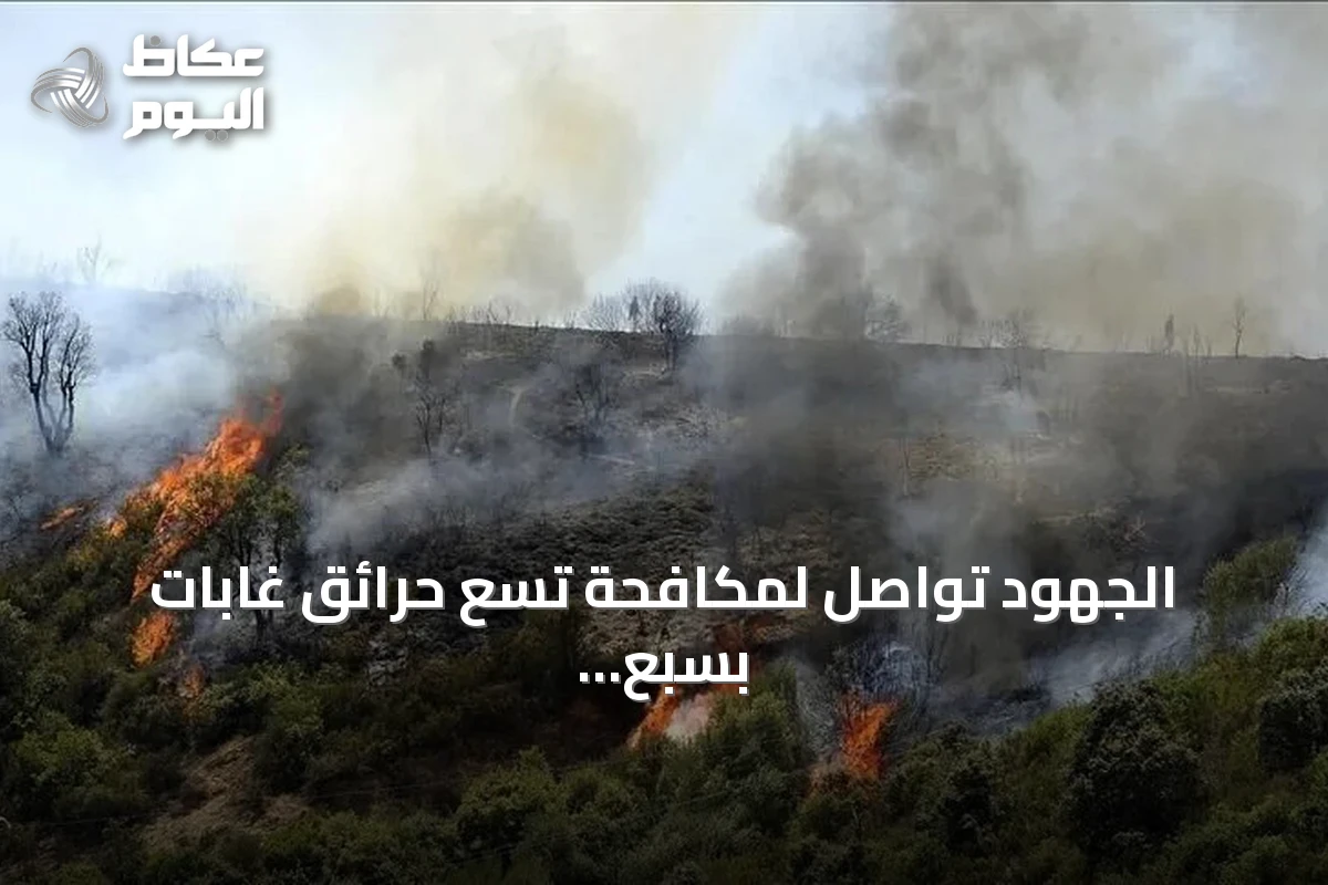 الجهود تواصل لمكافحة تسع حرائق غابات بسبع ولايات جزائرية