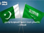 باكستان تجدد دعمها للسعودية وتدين هجمات الحوثي في الأمم المتحدة
