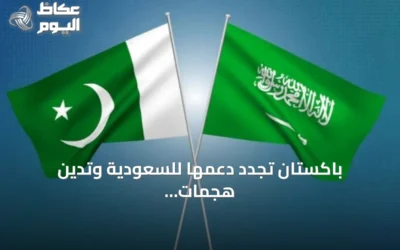 باكستان تجدد دعمها للسعودية وتدين هجمات الحوثي في الأمم المتحدة