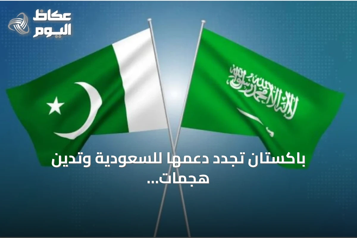 باكستان تجدد دعمها للسعودية وتدين هجمات الحوثي في الأمم المتحدة