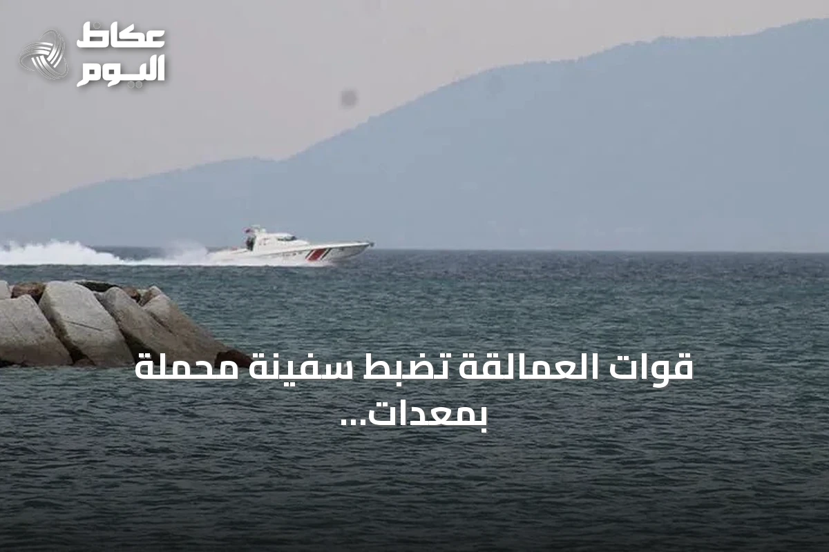 قوات العمالقة تضبط سفينة محملة بمعدات عسكرية في مضيق باب المندب