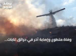 وفاة متطوع وإصابة آخر في حرائق غابات بولاية سطيف