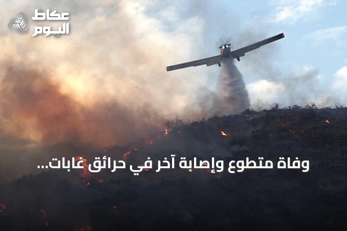 وفاة متطوع وإصابة آخر في حرائق غابات بولاية سطيف