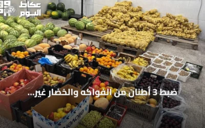 ضبط 3 أطنان من الفواكه والخضار غير المعروفة المصدر في عسير