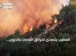 المغرب يتصدى لحرائق الغابات بالدرون والإنذار المبكر