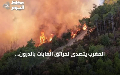 المغرب يتصدى لحرائق الغابات بالدرون والإنذار المبكر