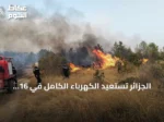 الجزائر تستعيد الكهرباء الكامل في 16 ولاية وتكافح 19 حريقاً تحت حرارة شديدة