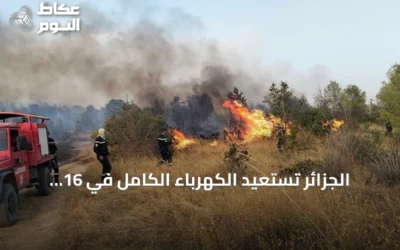 الجزائر تستعيد الكهرباء الكامل في 16 ولاية وتكافح 19 حريقاً تحت حرارة شديدة