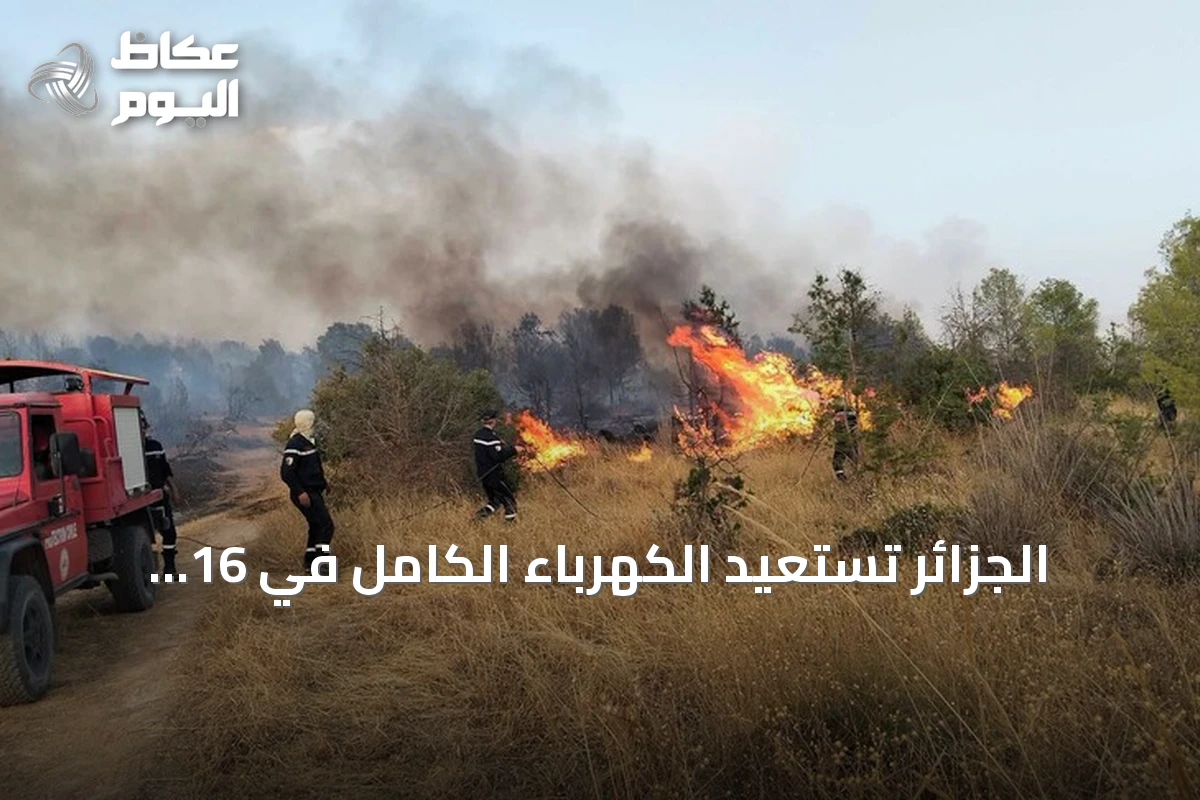 الجزائر تستعيد الكهرباء الكامل في 16 ولاية وتكافح 19 حريقاً تحت حرارة شديدة