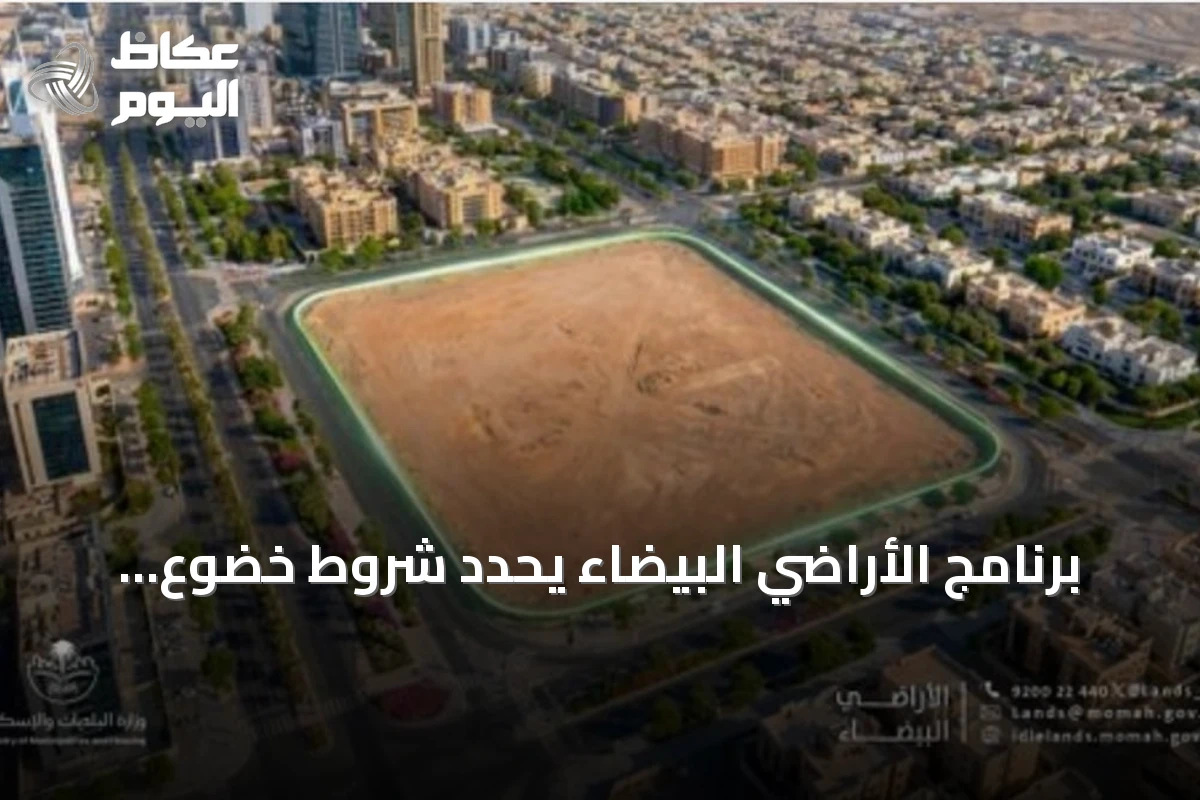 برنامج الأراضي البيضاء يحدد شروط خضوع العقارات الشاغرة للرسوم