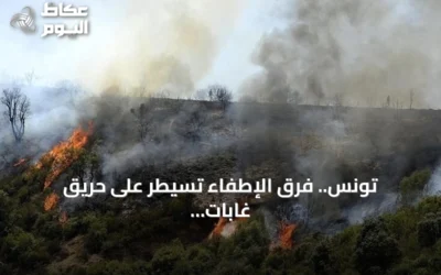 تونس.. فرق الإطفاء تسيطر على حريق غابات دمّر أكثر من 30 هكتاراً في جندوبة