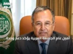 أمين عام الجامعة العربية يؤكد دعم وحدة السودان ورفض التدخلات الخارجية