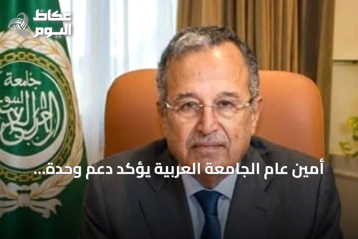 أمين عام الجامعة العربية يؤكد دعم وحدة السودان ورفض التدخلات الخارجية