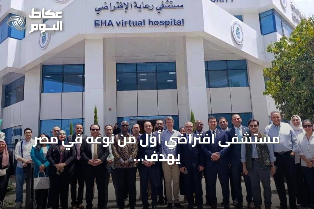 مستشفى افتراضي أول من نوعه في مصر يهدف لتوسيع الخدمات الصحية عن بعد