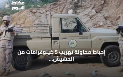 إحباط محاولة تهريب 5 كيلوغرامات من الحشيش في قطاع ضمد بجازان