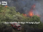 الجزائر تواجه 14 حريقا نشطا amid حرارة تقارب 48 درجة