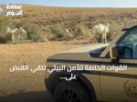 القوات الخاصة للأمن البيئي تلقي القبض على مواطن لنقل حطب محلي بالمدينة المنورة