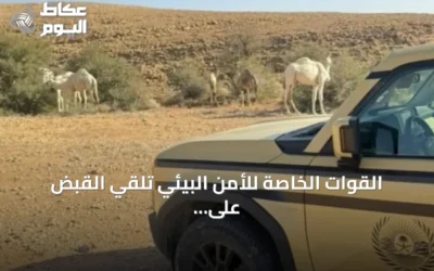 القوات الخاصة للأمن البيئي تلقي القبض على مواطن لنقل حطب محلي بالمدينة المنورة