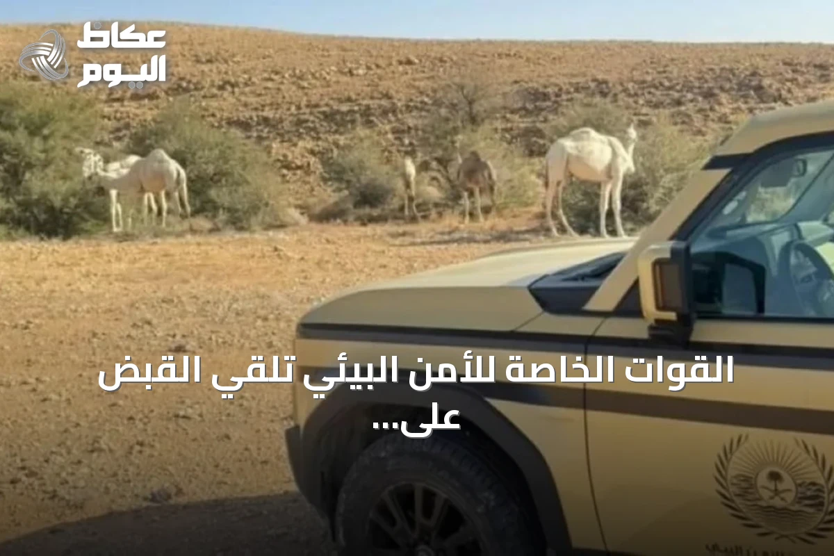 القوات الخاصة للأمن البيئي تلقي القبض على مواطن لنقل حطب محلي بالمدينة المنورة