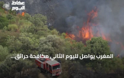 المغرب يواصل لليوم الثاني مكافحة حرائق غابات التهمت 14 هكتاراً في الحوز